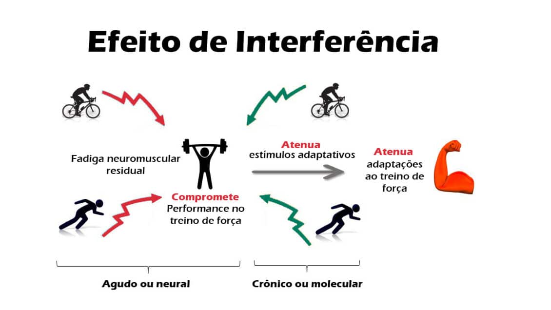 mecanismos do efeito de interferência